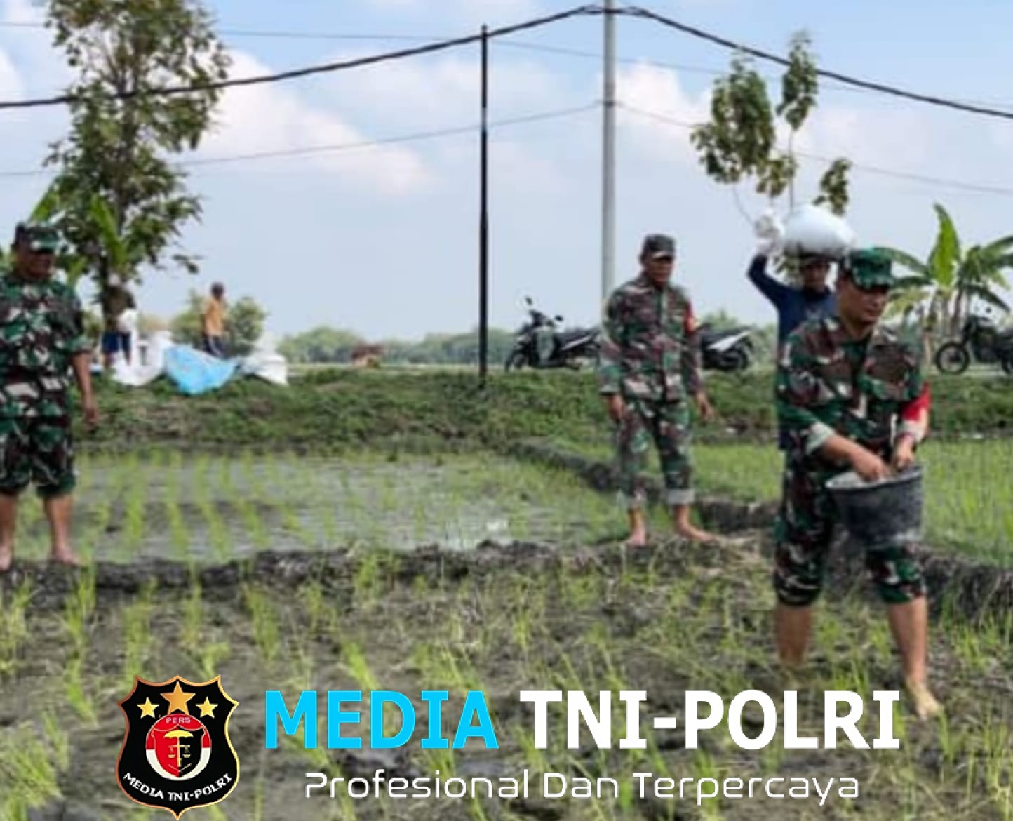 Babinsa Bantu Petani, Pupuk Lahan Demi Panen Raya Yang Maksimal