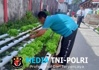 Warga Binaan Lapas Sampit Ikuti Pembinaan Kemandirian di Sektor Pertanian