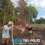 Penanaman Jagung Serentak di Mandor, Dukung Program Ketahanan Pangan Nasional