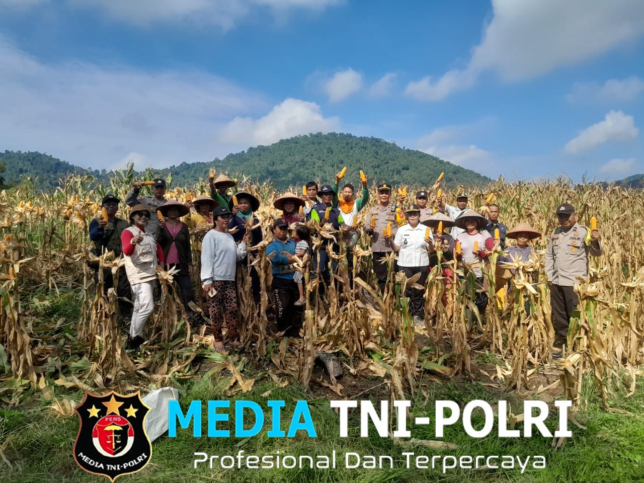 Panen Perdana Jagung Hibrida di Desa Ngarak, Meski Tanah Kurang Mendukung Warga Tetap Semangat Bertani
