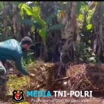 Satgas Pamtas RI-PNG Kewilayahan Yonif 763/SBA Pos Afkrem Bantu Warga Laksanakan Pembersihan Jalan di Sekitaran Kampung Afkrem