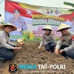 Polresta Tangerang dan Dinas Pertanian Tanam Jagung Serentak di Cikupa, Wujudkan Ketahanan Pangan Lewat Program PAT Commander Wish Kapolresta