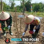 Dukung Program Asta Cita Presiden Prabowo, Polres Mesuji Laksanakan Penanaman Jagung Serentak di Lahan Pondok Pesantren Al- Ghazali