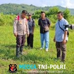 Kapolsek Dampingi Pamatwil Cek Progres Demplot Jagung 1 Desa 1 Hektar