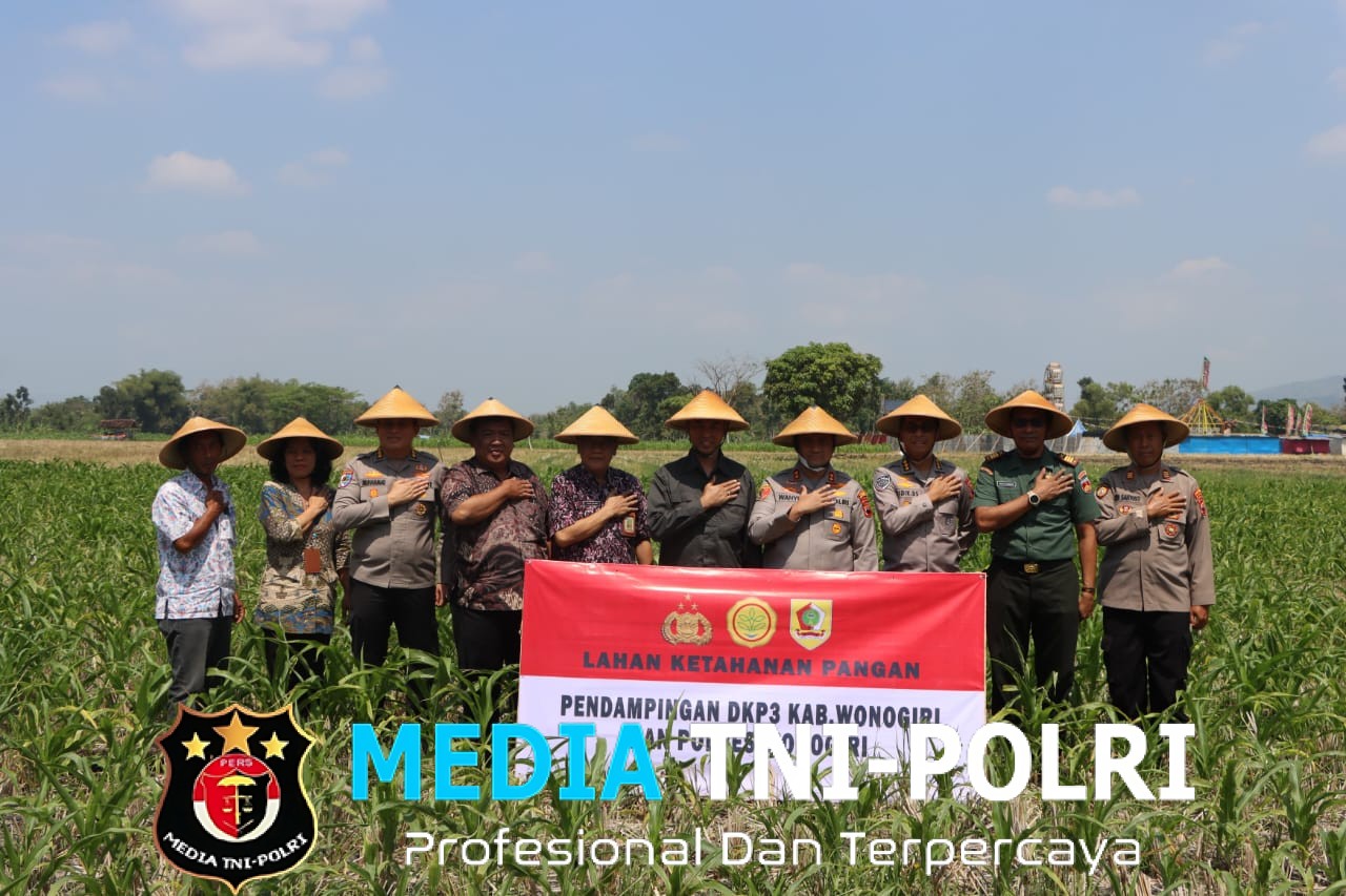 Dukung Ketahanan Pangan di Wonogiri, Polda Jateng Tinjau Lahan Jagung Dan Asistensi Pembangunan SPPG Di Wonogiri