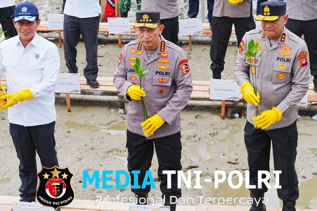 Kapolri dan Menteri LHK Tanam Mangrove di Mempawah, Dukung Pemulihan Ekosistem Pesisir