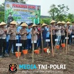 Kapolsek Ngabang Mendampingi Kapolres Landak Beserta Pejabat Utama Polres Landak Laksanakan Penanaman Benih Jagung
