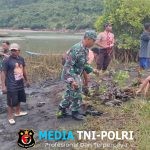 Babinsa Desa Wates, Pramuka Dan Warga Bersatu Lestarikan Alam Dengan Menanam Mangrove