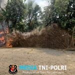 Polda Sumut Bakar Barak Narkoba, Loket Transaksi Dibongkar
