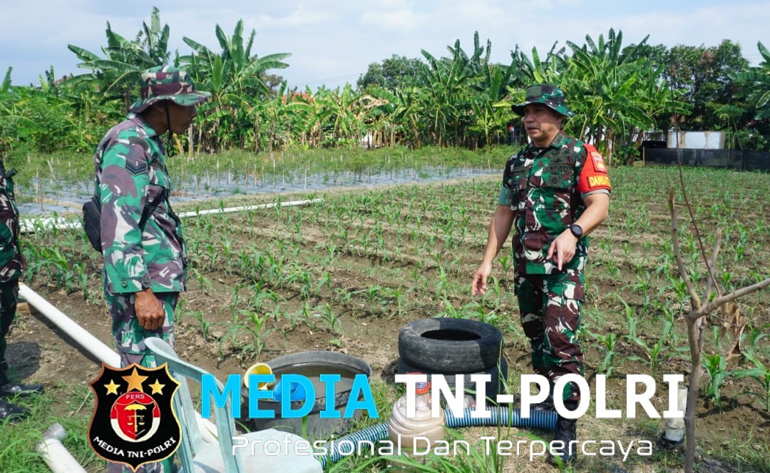 Ketahanan Pangan Jadi Prioritas, Dansatgas TMMD Reguler Ke-125 Kodim 0735/Surakarta Cek Progres Penanaman Jagung