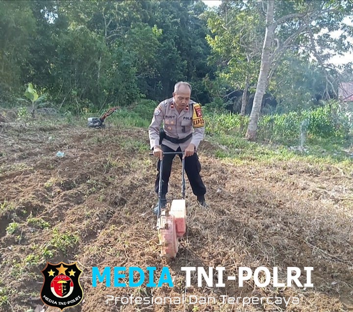 Penanaman Jagung Lanjutan di Lahan Demplot Polsek Sebangki, Wujud Sinergi Polisi dan Petani