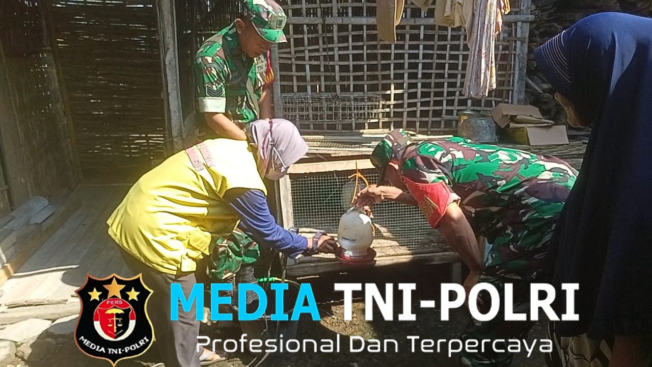 Babinsa Dampingi Pemberantasan Jentik Nyamuk, Cegah DBD di Lingkungan Warga