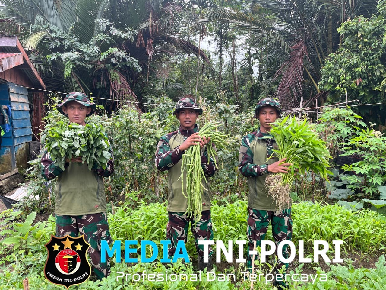 Ketahanan Pangan, Satgas Yonif 521/DY Wujudkan Melalui Buka Kebun di Sekitaran Pos Muara Nawa Distrik Airu