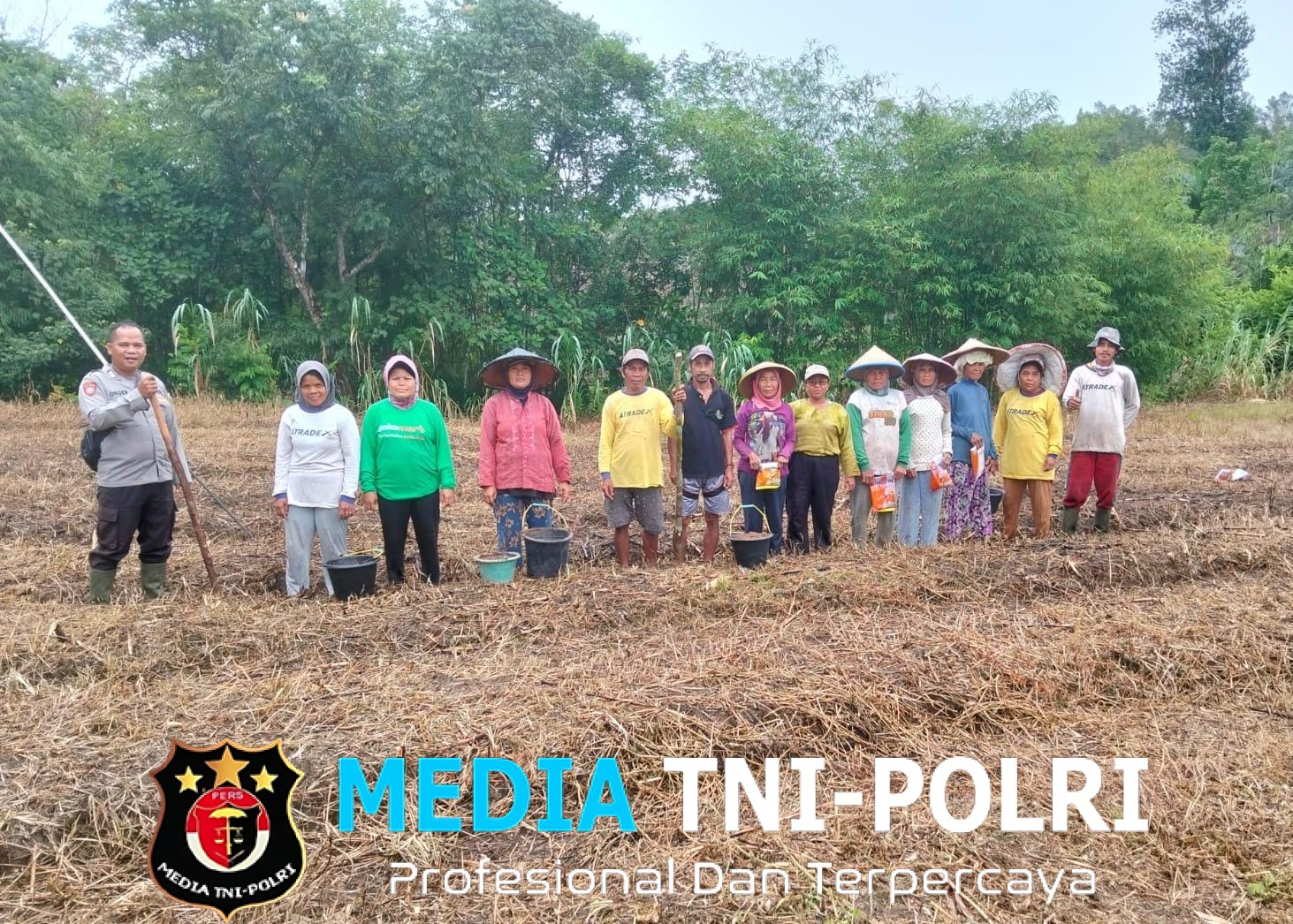 Bintara Penggerak Ketahanan Pangan Desa Sailo Laksanakan Penanaman Demplot Jagung 1 Desa 1 Hektar