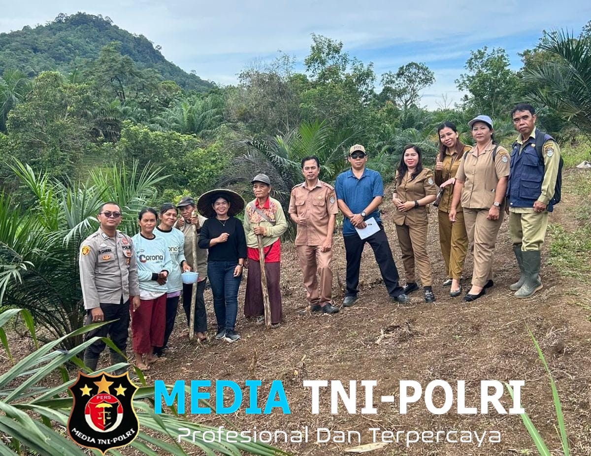 Penanaman Jagung Serentak di Desa Pahauman, Wujud Nyata Program Ketahanan Pangan Nasional