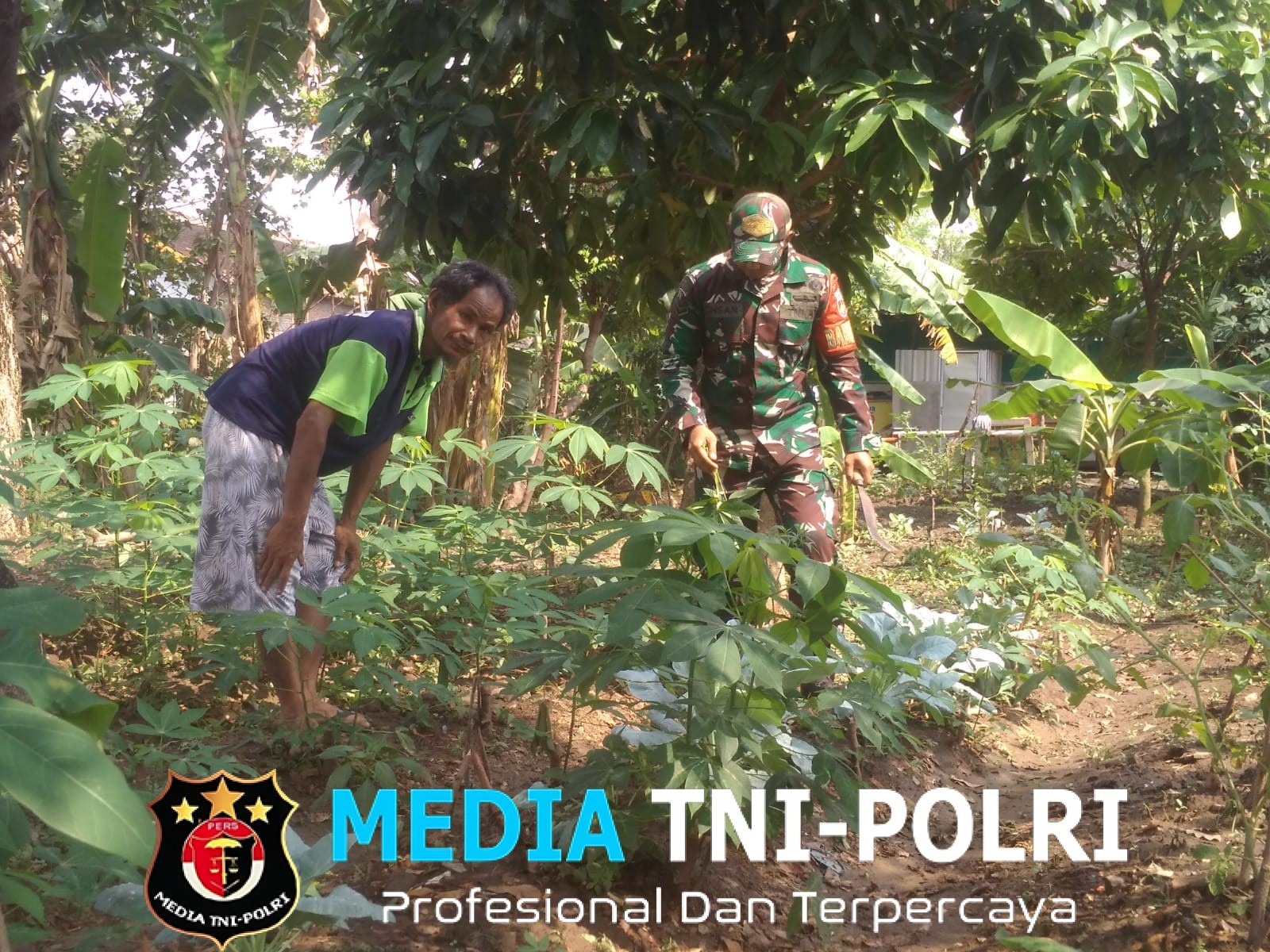 Babinsa Serengan Sambangi Lahan Ketahanan Pangan, Dorong Pemanfaatan Optimal Kesejahteraan Warga