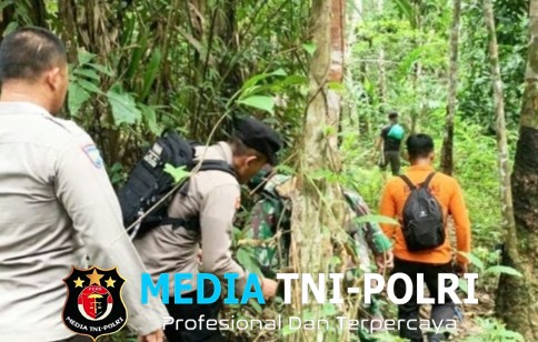 Wanita Penyadap Karet Hilang di Hutan Bartim, Tim SAR Gabungan Lakukan Pencarian