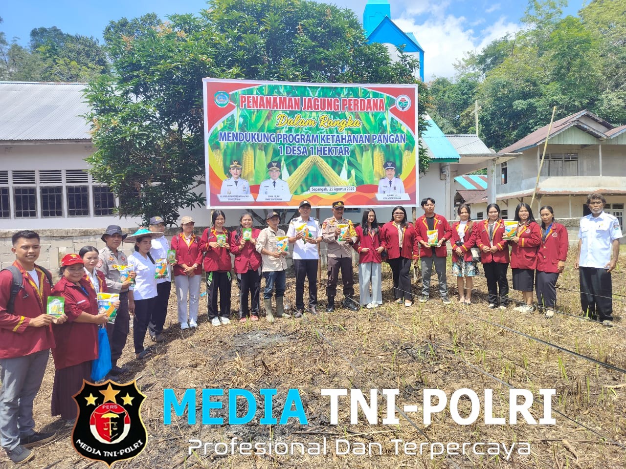 Program 1 Desa 1 Hektar, Desa Sepangah Mulai Tanam Jagung untuk Ketahanan Pangan Nasional