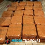 Polda Lampung Gagalkan Penyelundupan 40 Kg Ganja, Kurir Asal Padang Ditangkap