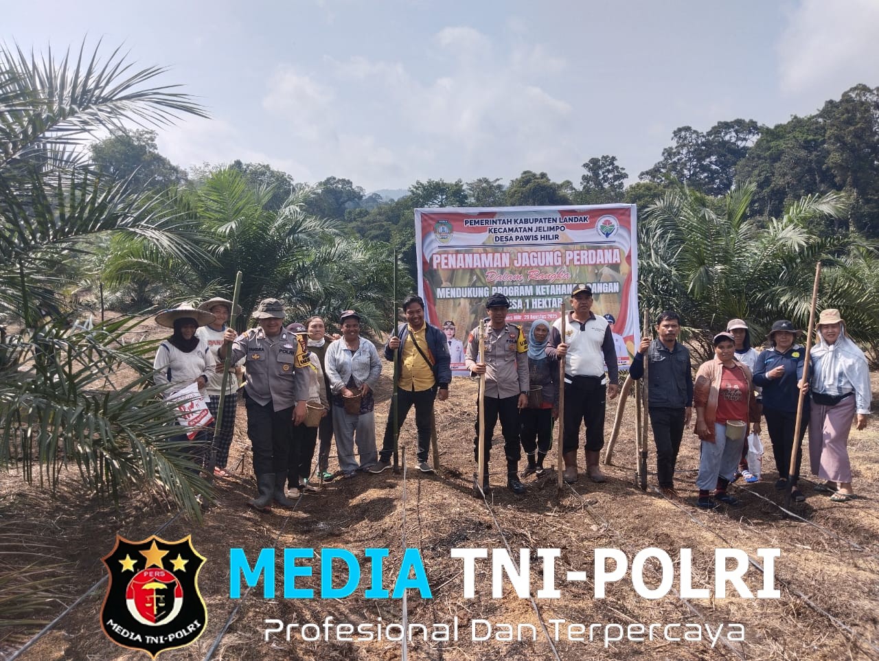 Penanaman Jagung 1 Desa 1 Hektar Menggunakan Bibit Jagung Hibrida R1 Nusantara Di Desa Pawis Hilir