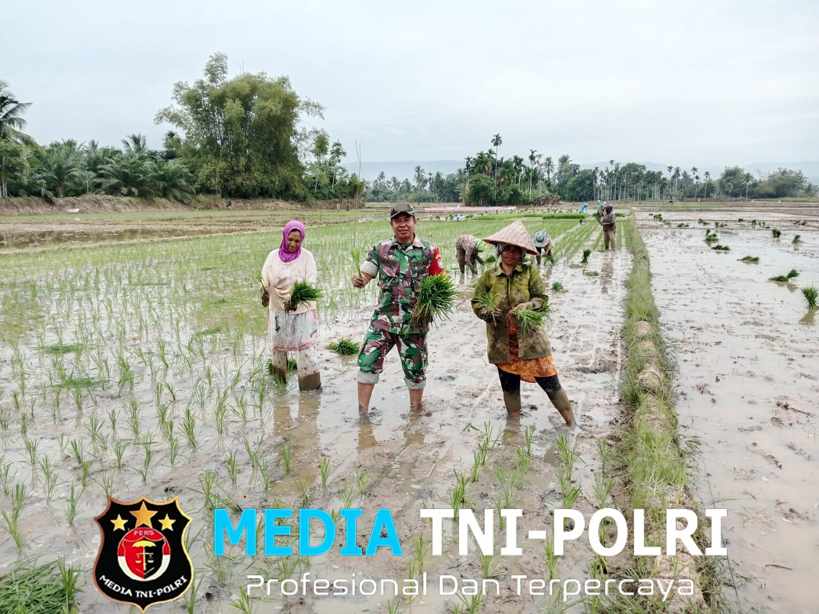 Aksi Nyata Prajurit TNI, Turun ke Sawah Bersama Petani di Aceh Utara