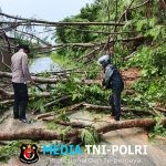 Paska Longsor Polsek Limau dan Warga Bersihkan Material Kayu di Tegineneng