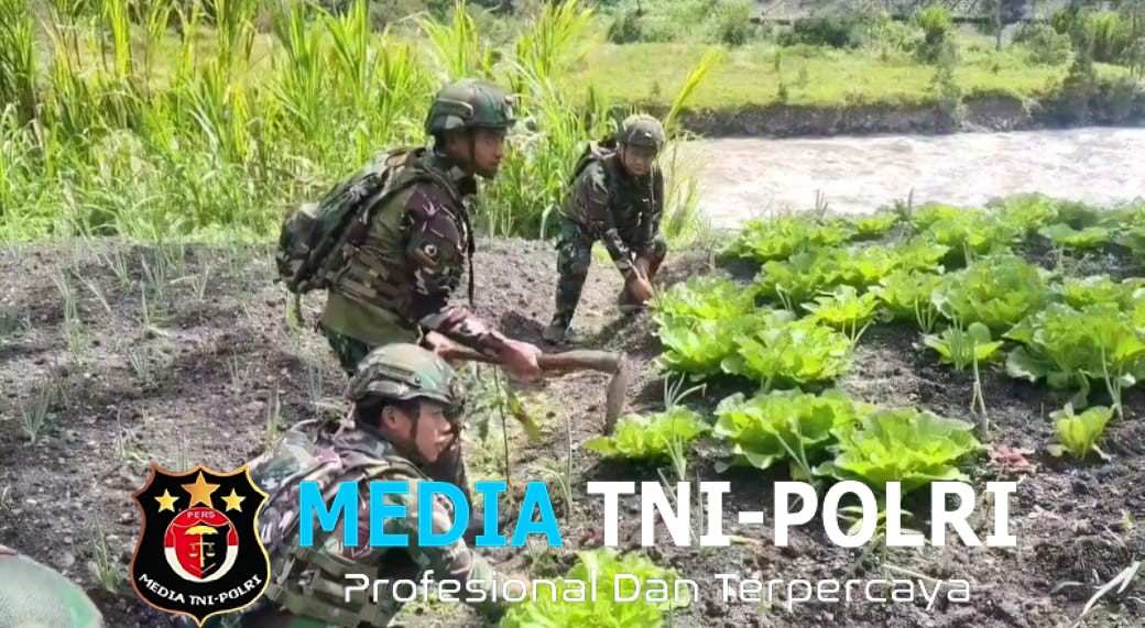 Produktivitas Bagikan Bibit Satgas Yonif 521/DY di Distrik Kurima