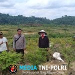 Dukung Ketahanan Pangan, Bhabinkamtibmas Polsek Menjalin Sambangi Petani Cabai