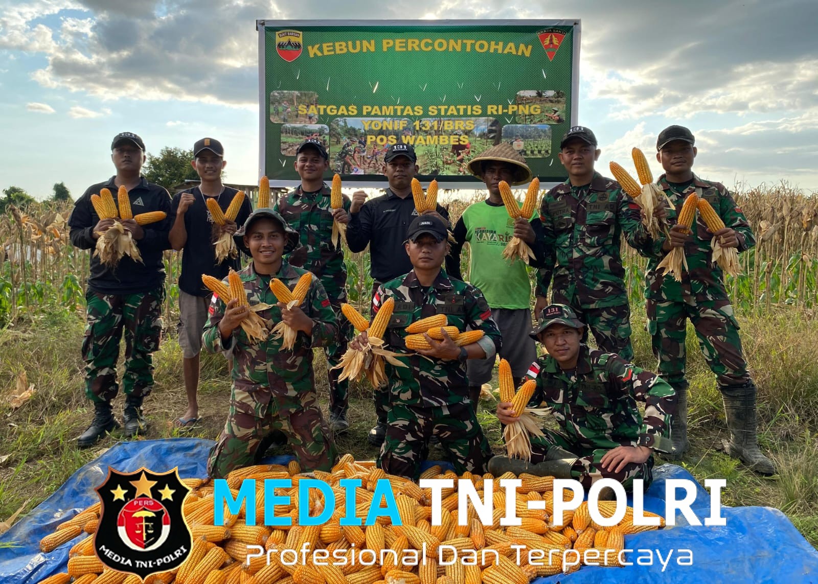 Satgas Yonif 131/Brajasakti Panen Jagung Bersama Warga, Dukung Ketahanan Pangan di Perbatasan Papua