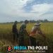 Babinsa Terjun Langsung Panen Padi Bersama Masyarakat
