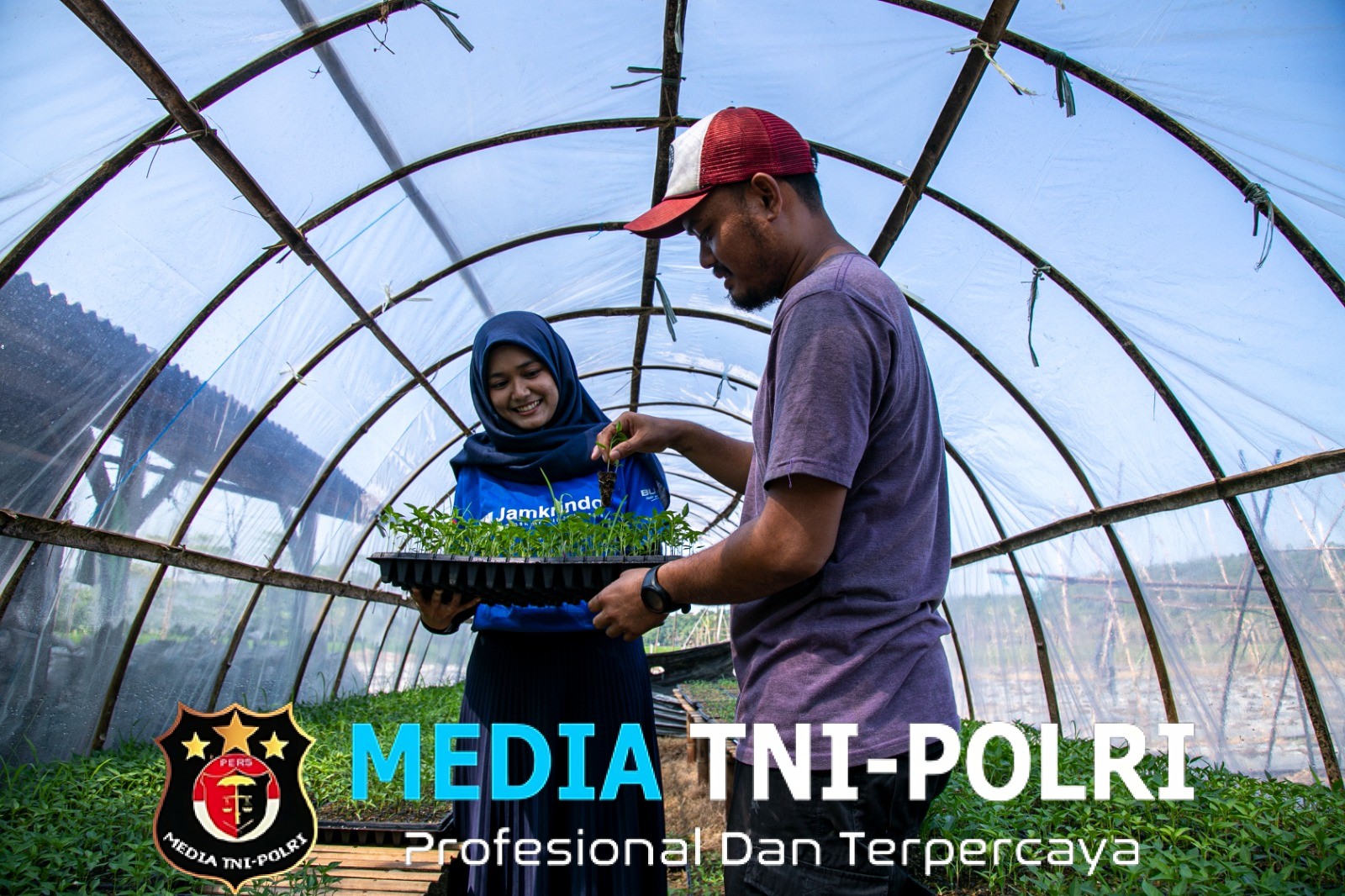 Dorong Ketahanan Pangan, PT.Jamkrindo Jamin Sektor Pertanian Rp35,78 Triliun