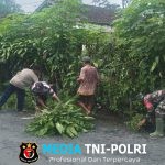 Wujudkan Lingkungan Sehat, Babinsa Bersama Warga Karangtengah Gotong Royong Bersihkan Jalan