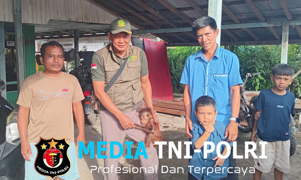 BKSDA Resort Sampit Terima Satu Individu Bayi Orangutan