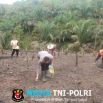 Bhabinkamtibmas Ikut Kegiatan Penanaman Jagung Serentak 1 Desa 1 Hektar Di Desa Ansang