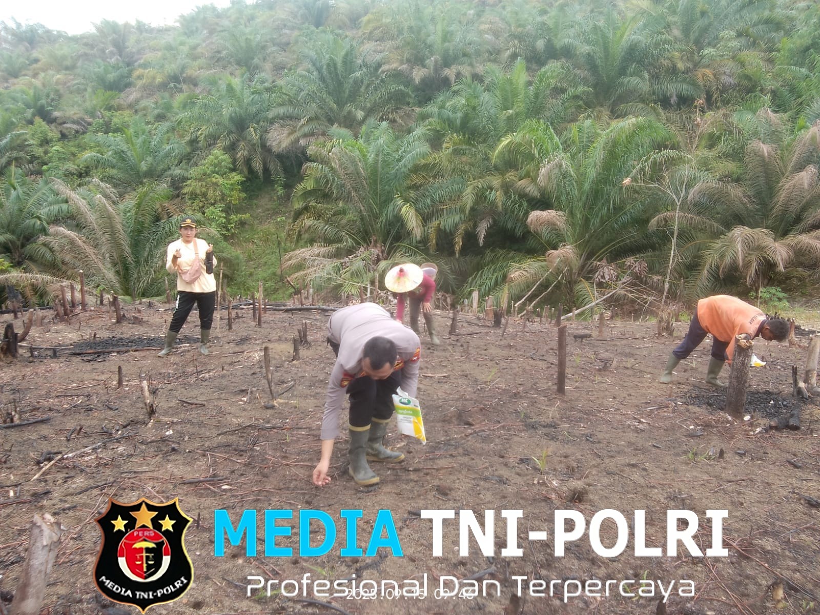 Bhabinkamtibmas Ikut Kegiatan Penanaman Jagung Serentak 1 Desa 1 Hektar Di Desa Ansang