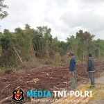 BKSDA Resort Sampit Observasi Kemunculan Orangutan di Jalan Jenderal Sudirman Km.10