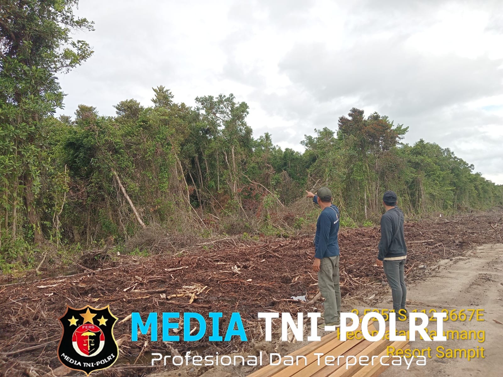 BKSDA Resort Sampit Observasi Kemunculan Orangutan di Jalan Jenderal Sudirman Km.10