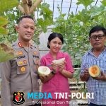 Ternyata Ada “Surga Melon” di Pringsewu, Dikunjungi Kapolres Bareng Istri!