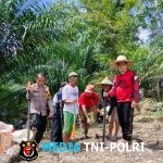 Penanaman Jagung Serentak 1 Desa 1 Hektar Di Desa Kayu Ara Kecamatan Menyuke