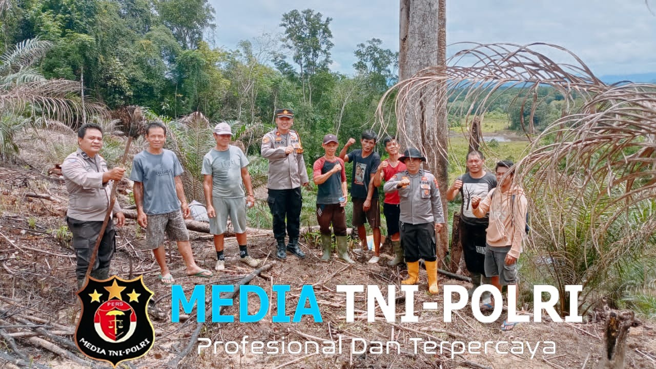 Kapolsek Kuala Behe Tanam Jagung Bersama Warga, Dukung Ketahanan Pangan Nasional