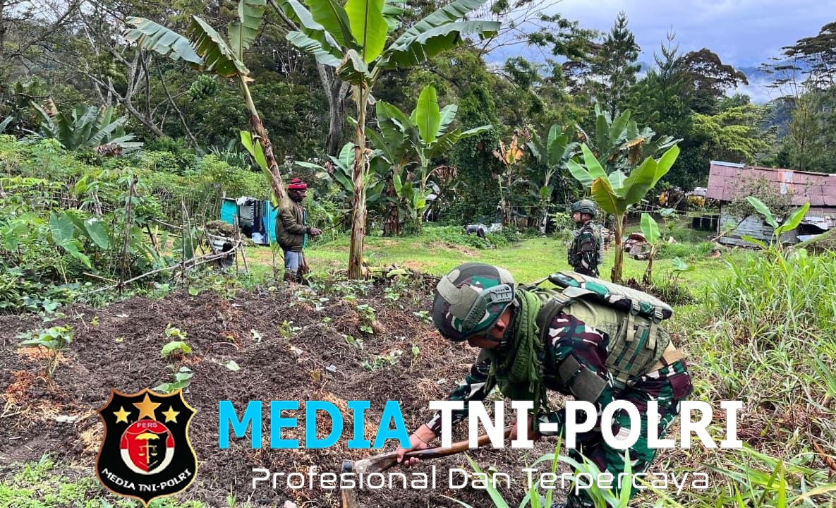 Komsos Satgas 521/DY Penanaman Sayur Bersama Masyarakat Distrik Kelila