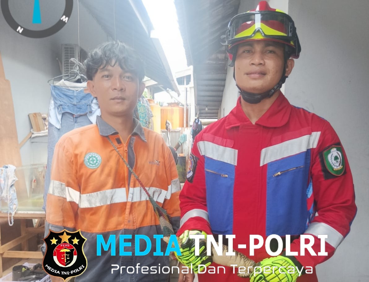 Damkar Kotim Evakuasi Biawak di Rumah Warga Jalan Kembali Sampit