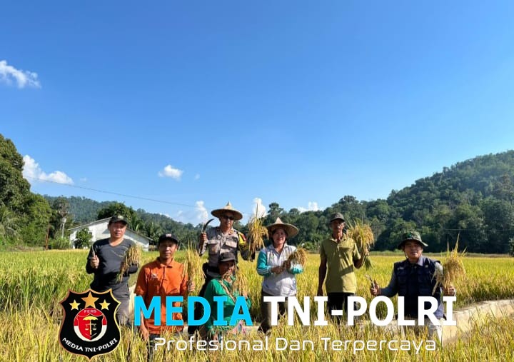 Panen Raya MT 2 di Sebangki, Kapolsek Ajak Masyarakat Tingkatkan Ketahanan Pangan
