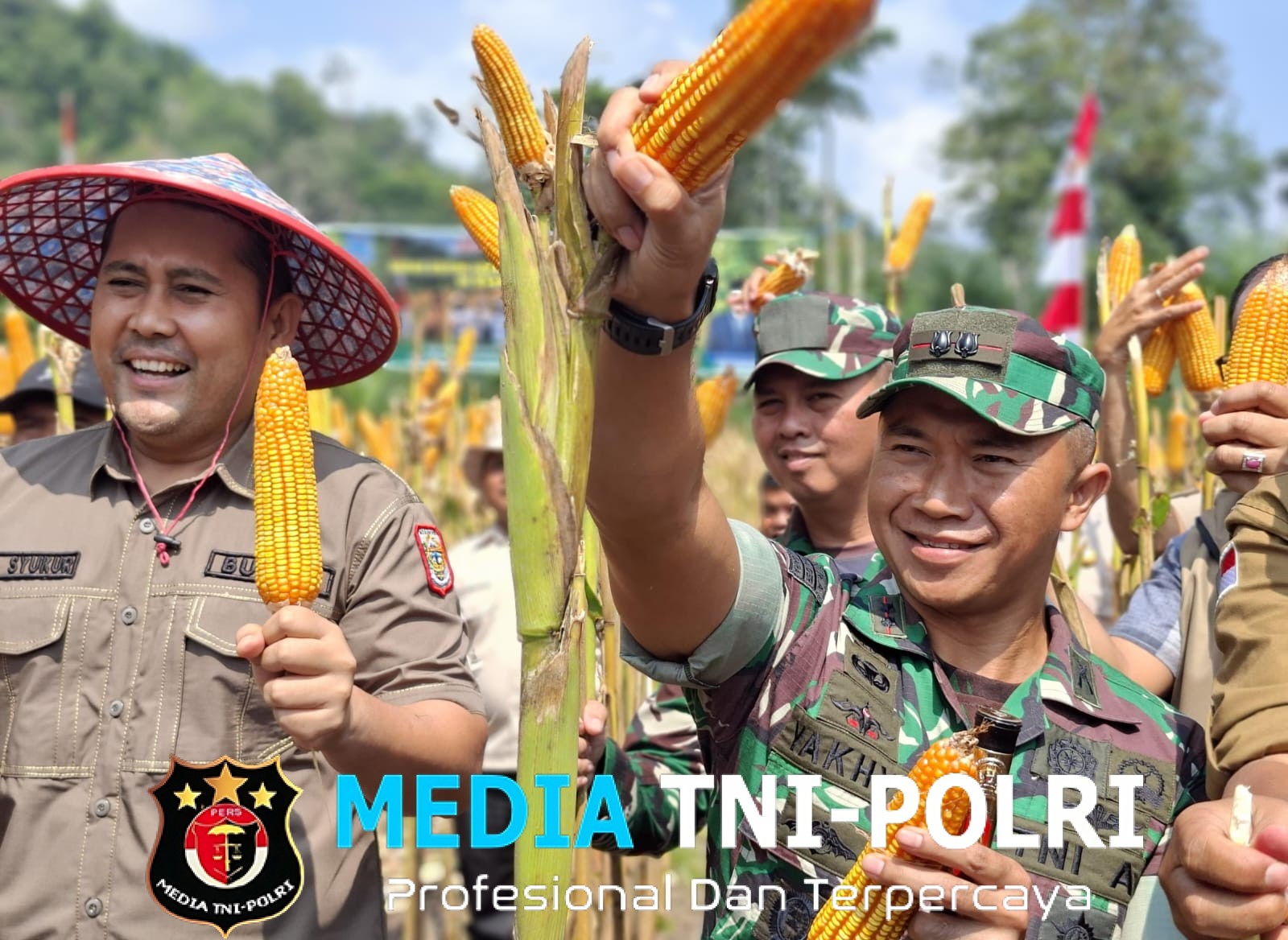 Dandim 0420/Sarko Hadiri Panen Raya Jagung dan Penyerahan Bantuan Benih oleh Bupati Merangin di Desa Simpang Parit