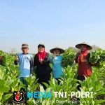 Ketua Fraksi PDIP Lamongan Serap Aspirasi Petani Tembakau, Sokong APBD dari DBHCHT Tembus 77,2 Miliar