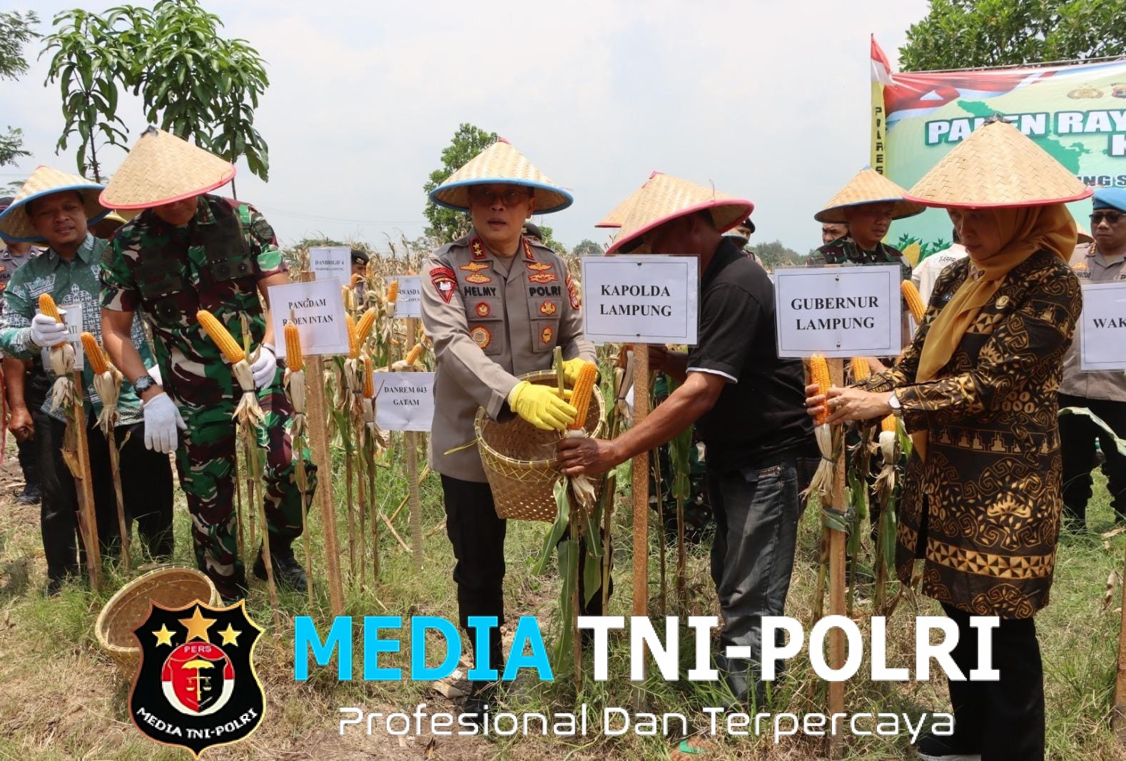 Dukung Swasembada Pangan, Kapolda dan Pangdam Gelar Panen Raya Jagung di Pringsewu