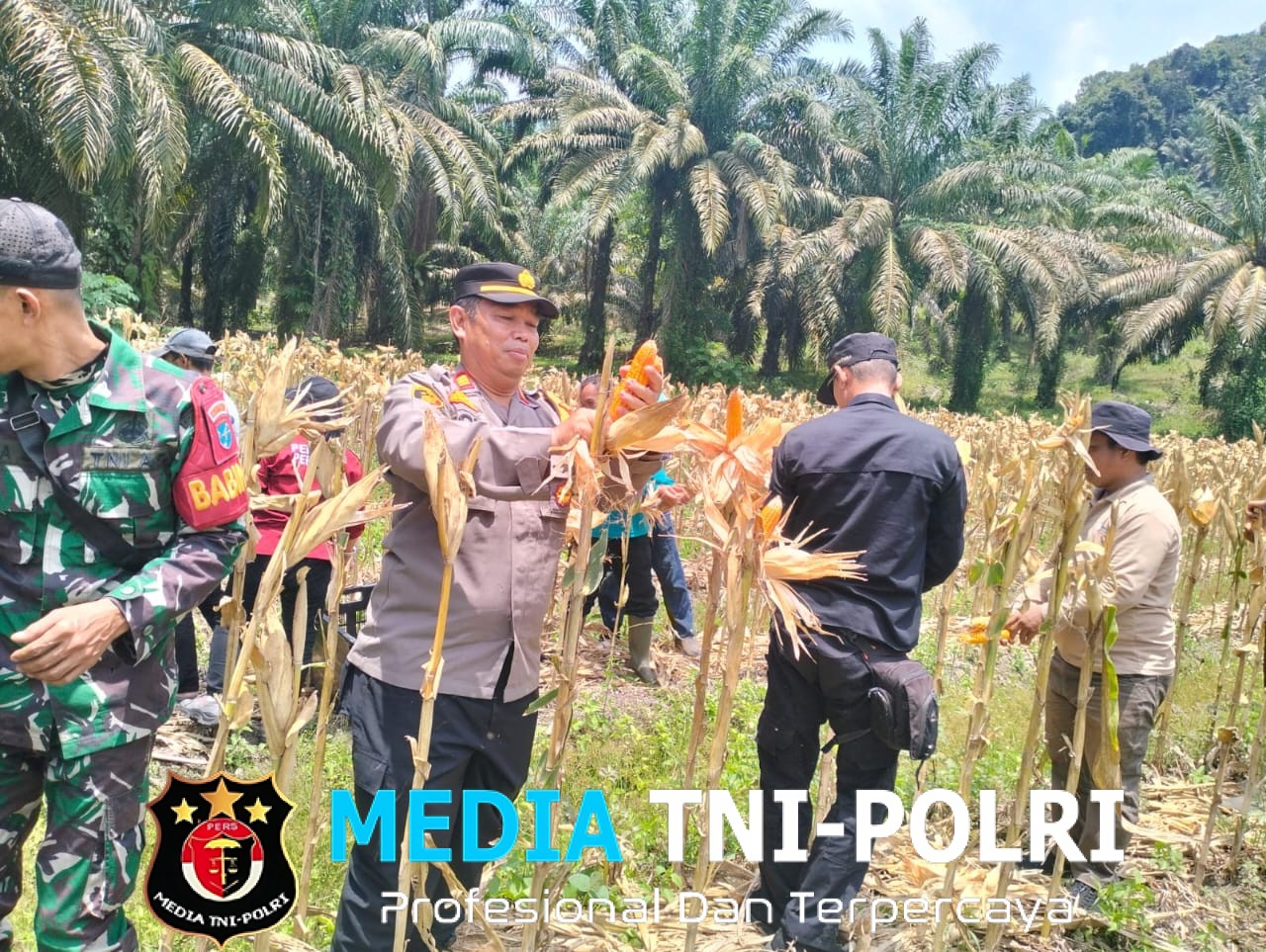 Panen Raya Jagung Serentak Kuartal III Tahun 2025 Digelar di Desa Paloan