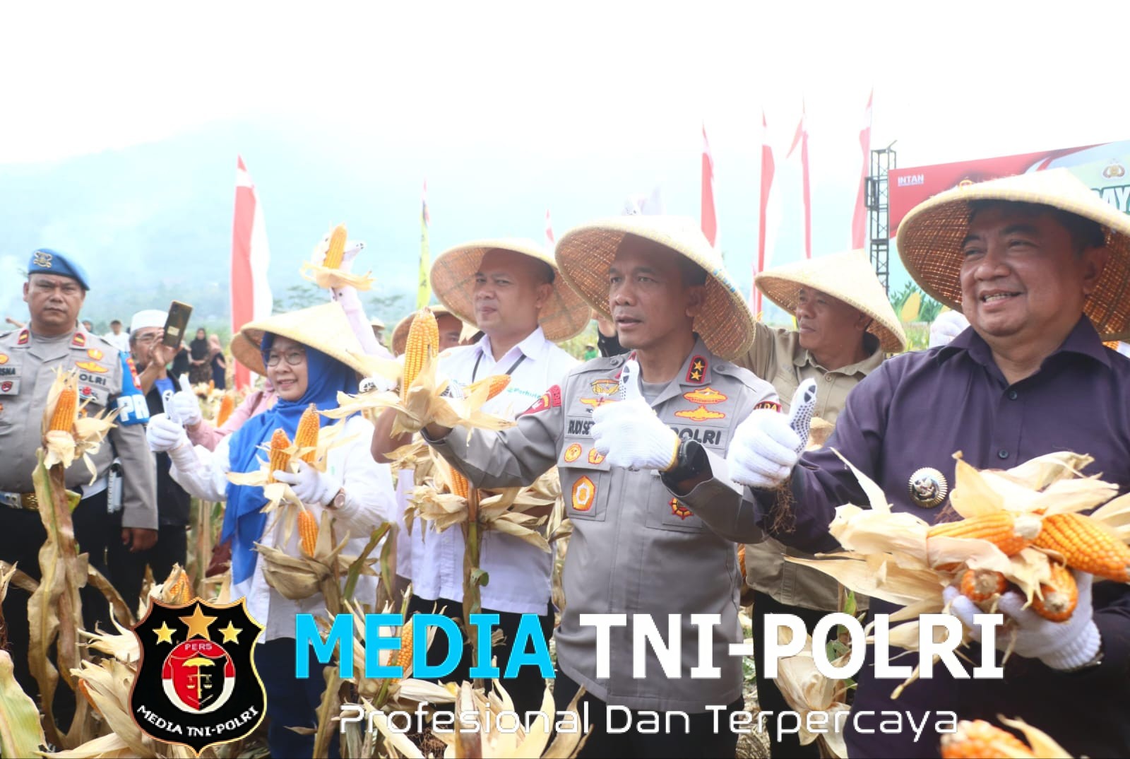 Prestasi Polda Jabar Dalam Mendukung Ketahanan Pangan Nasional Lewat Panen Raya Jagung