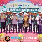 Bupati Pringsewu Riyanto Pamungkas Hadiri Panen Raya Jagung Serentak Di Mapolres Pringsewu