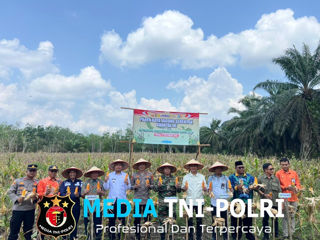 Dukung Swasembada Pangan, Polres Mesuji Laksanakan Panen Jagung Serentak Kuartal ke-III